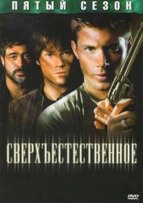 Постер Сверхъестественное (5 сезон)